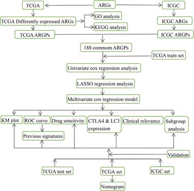 A Prognostic Autophagy-Related Gene Pair Signature and Small-Molecule Drugs for Hepatocellular Carcinoma